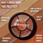 Insight Cosmetics Pro Concealer Palette (Concealer) - 15gm